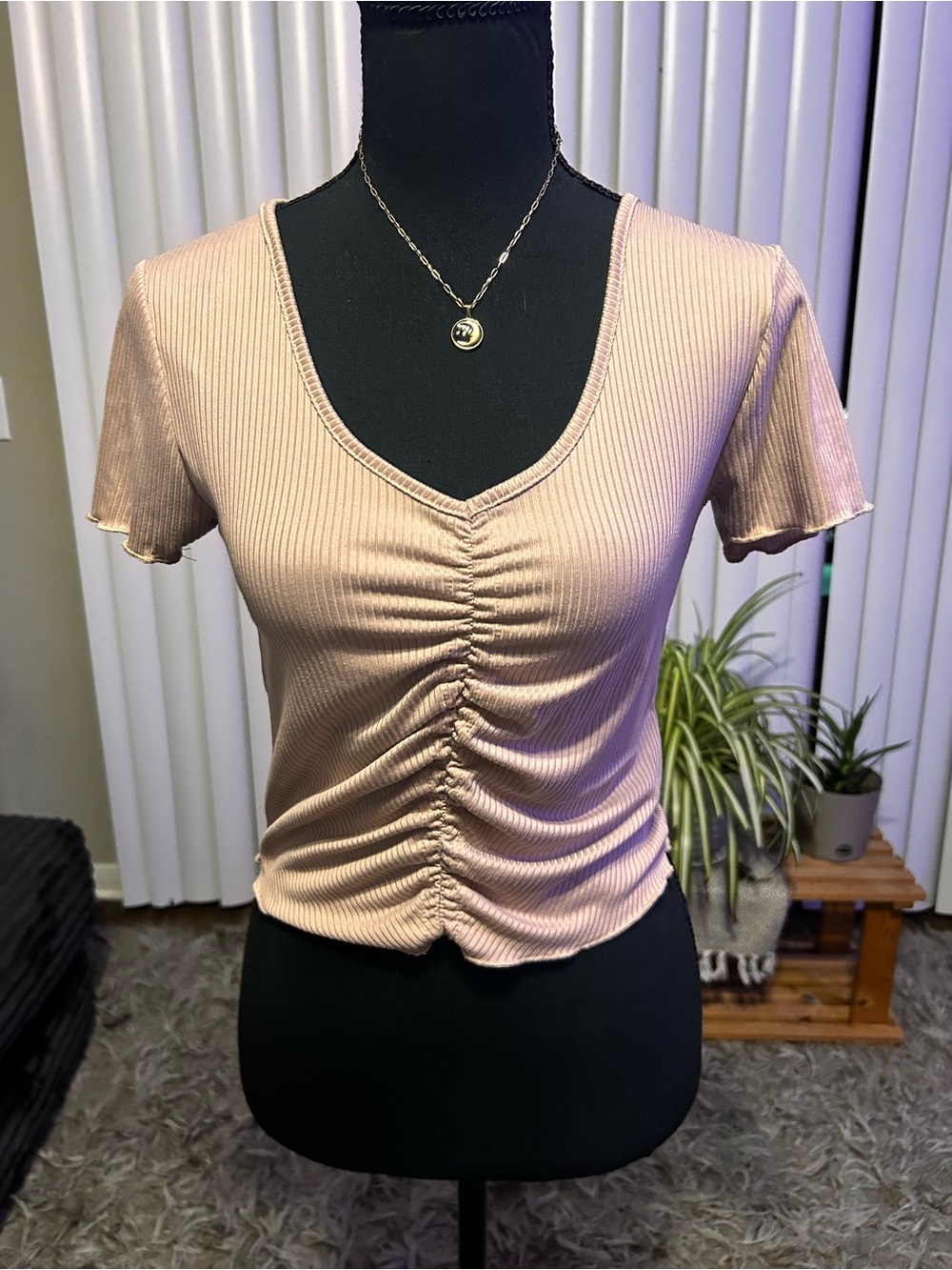 Streetwear Society Ribbed Ruched V-Neck Crop Top - Blush